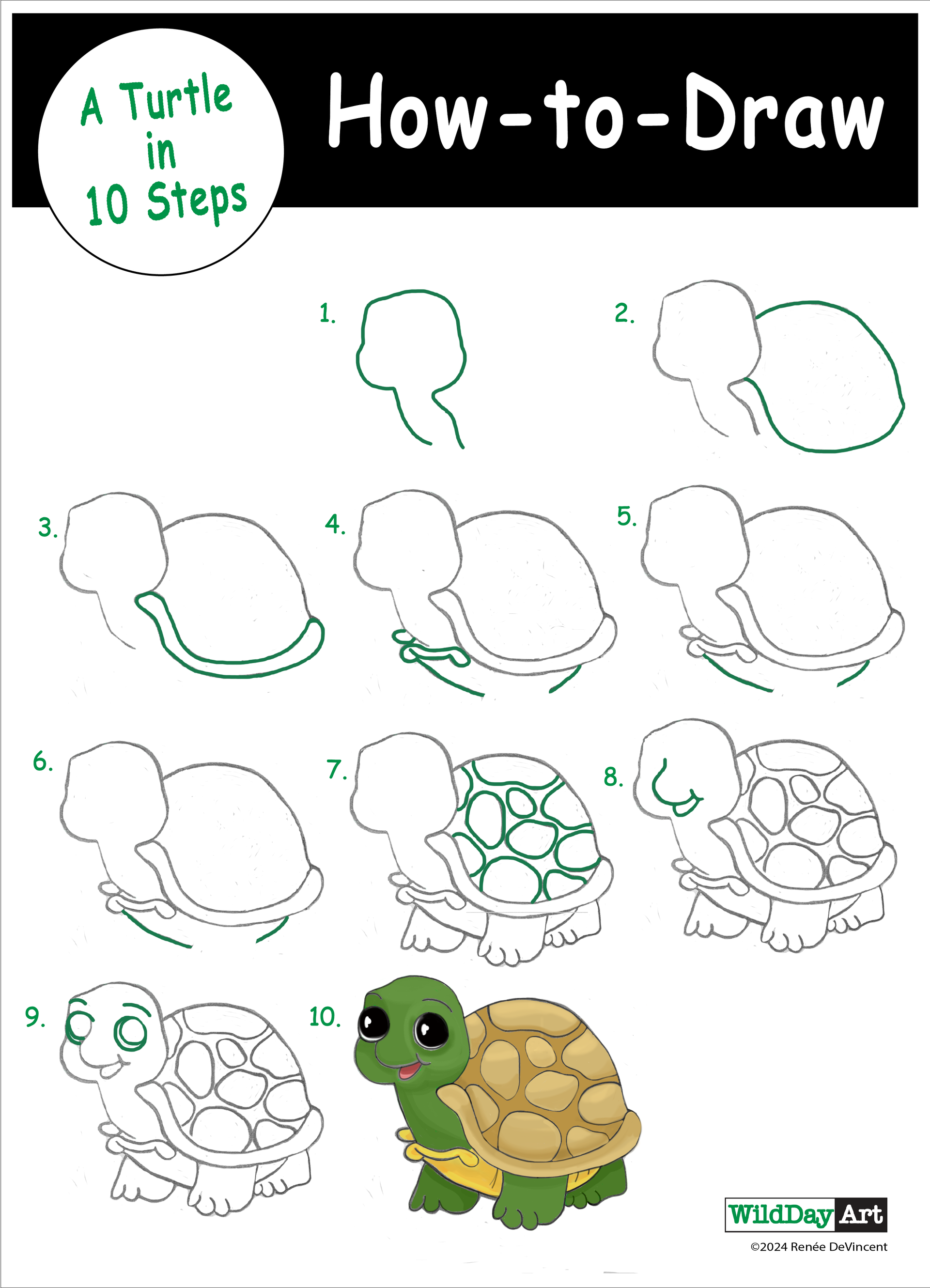 It shows how to draw a turtle in 10 steps.