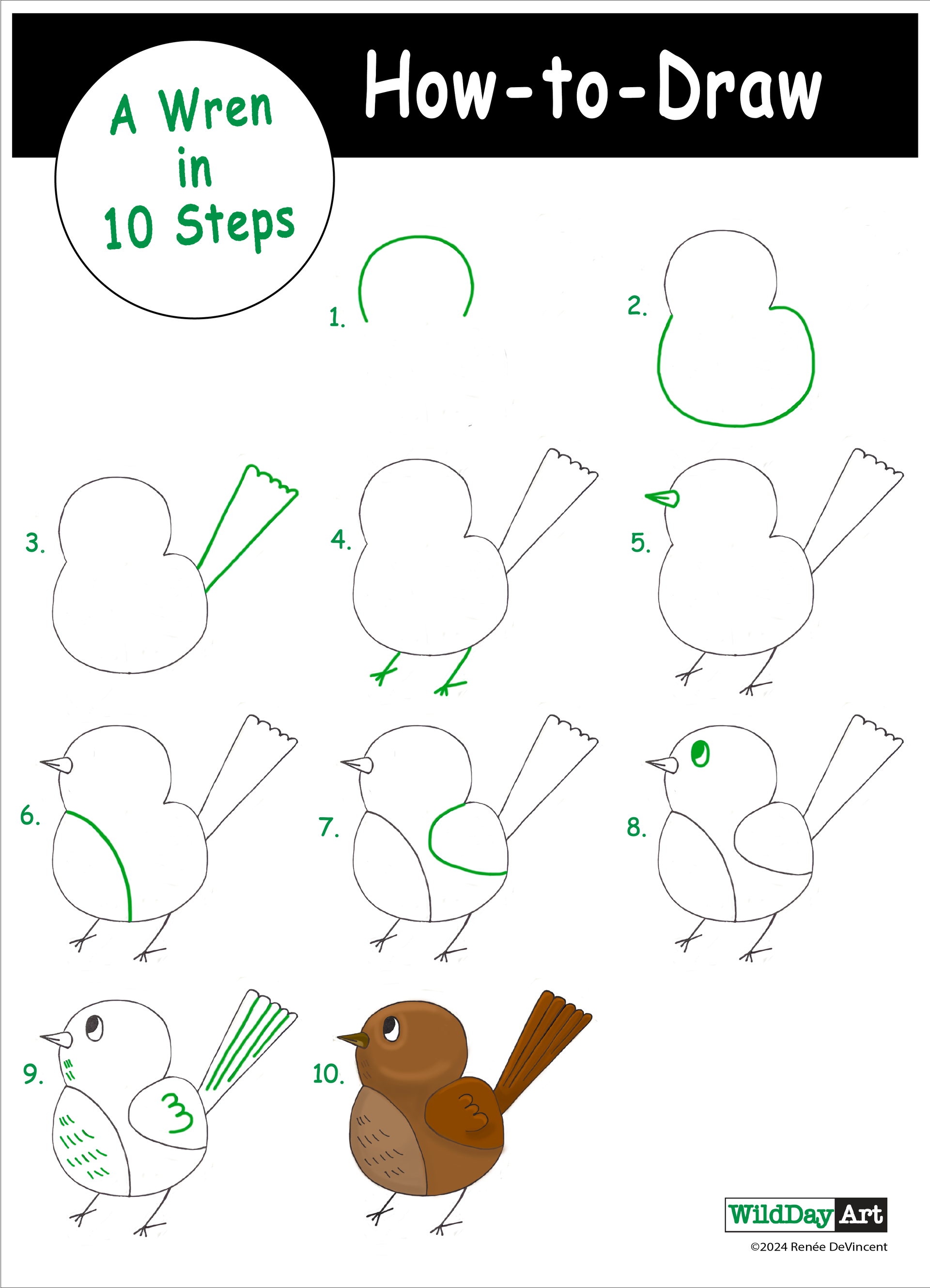 How to draw a wren in 10 steps