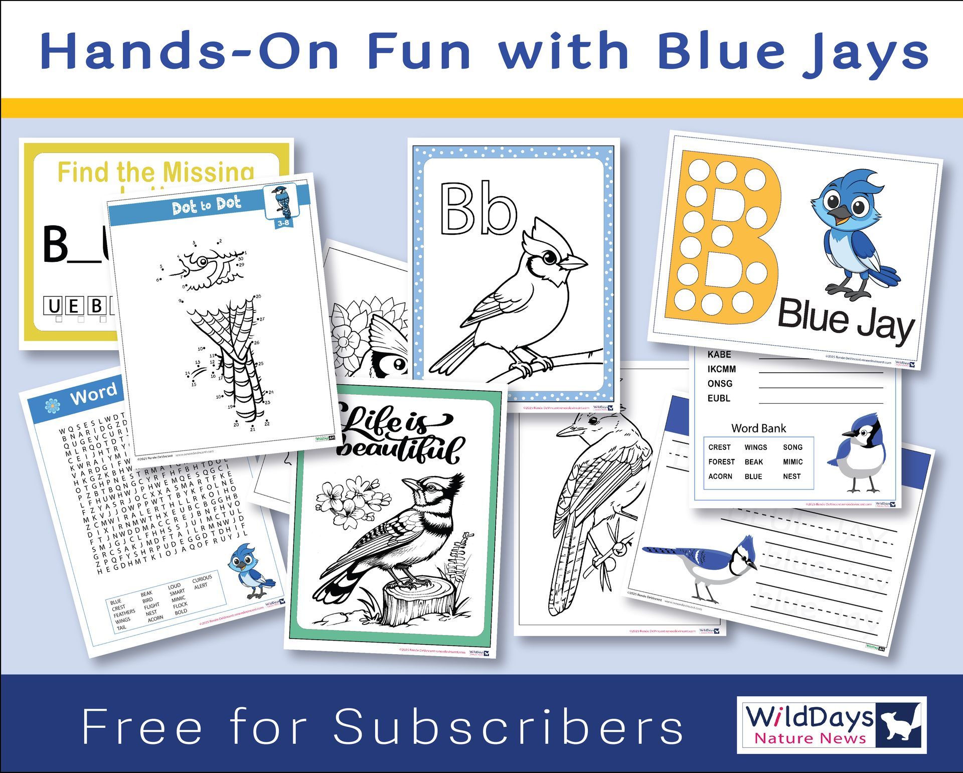Hands-on fun with Blue Jays educational materials: printable worksheets, coloring pages, flashcards. Offers 