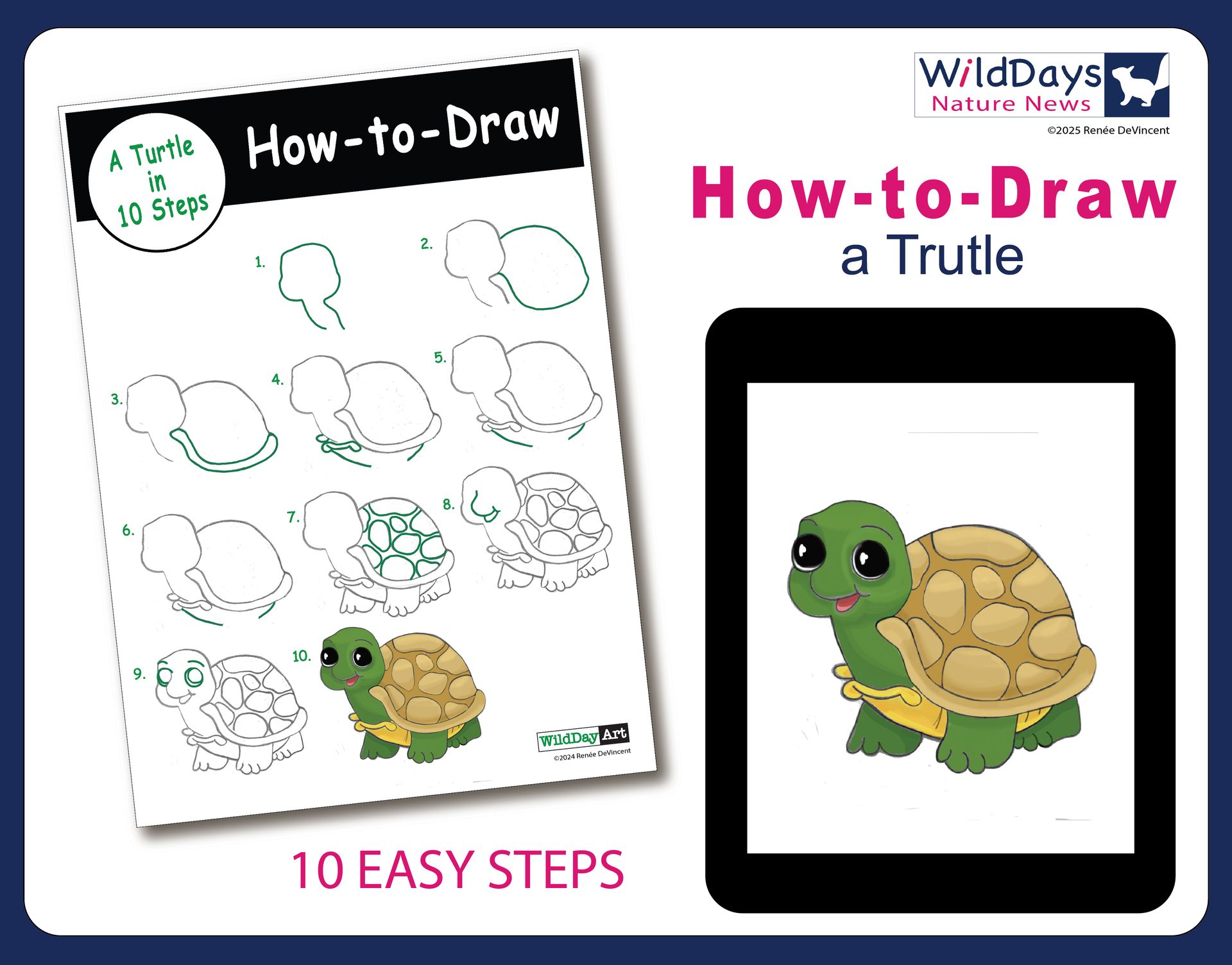 How to draw a turtle in 10 easy steps