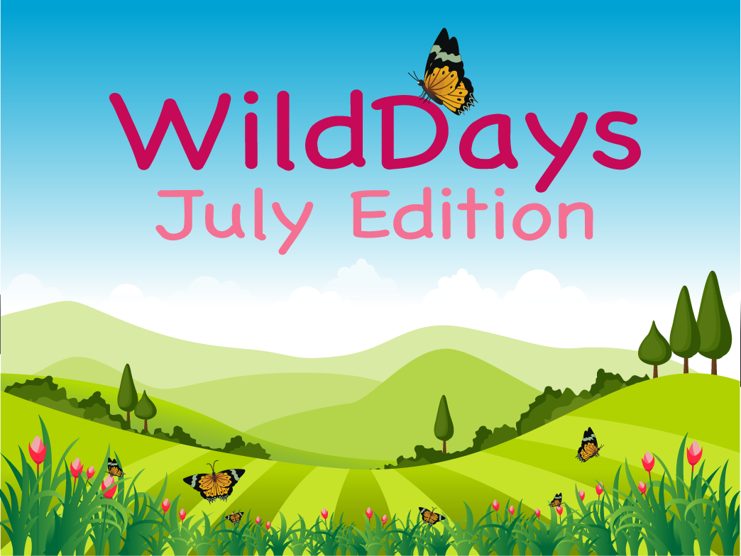 A poster for wild days july edition with a butterfly on it