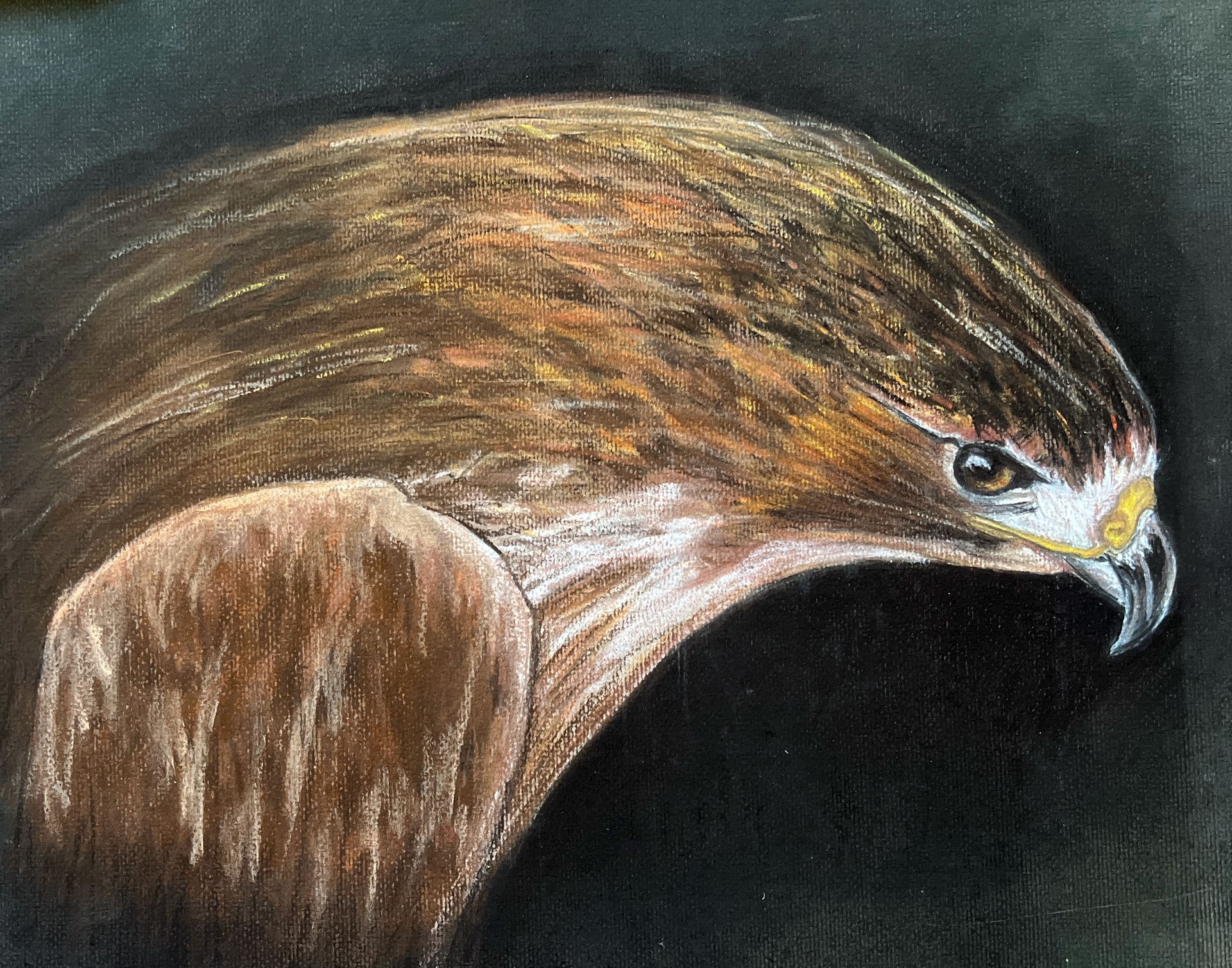 A chalk painting of a hawk 's head on a black background