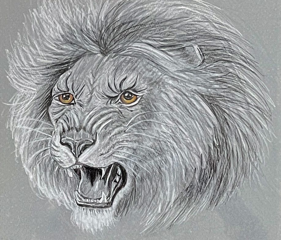A charcoal drawing of a lion 's head with its mouth open