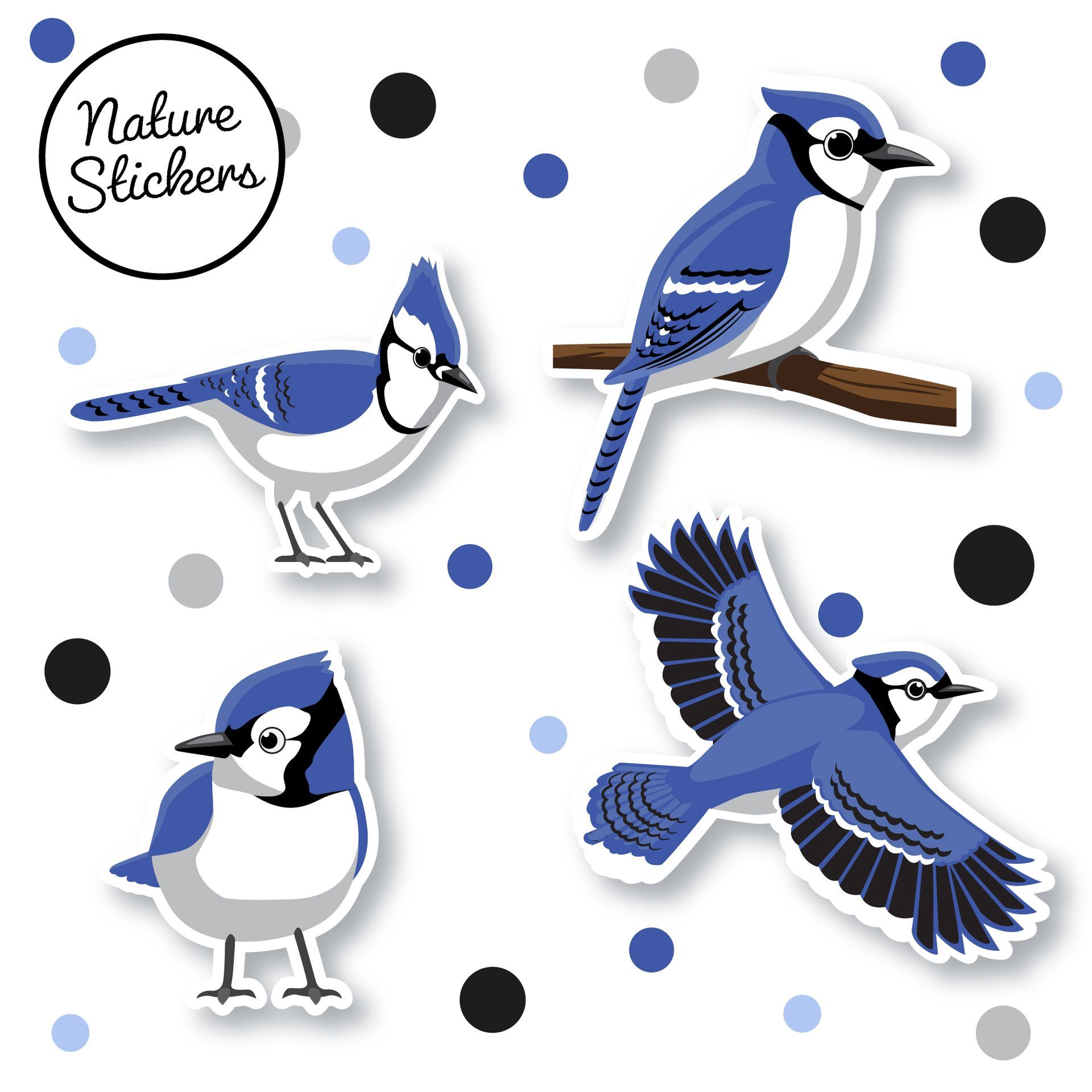 A set of four blue jay stickers on a white background.