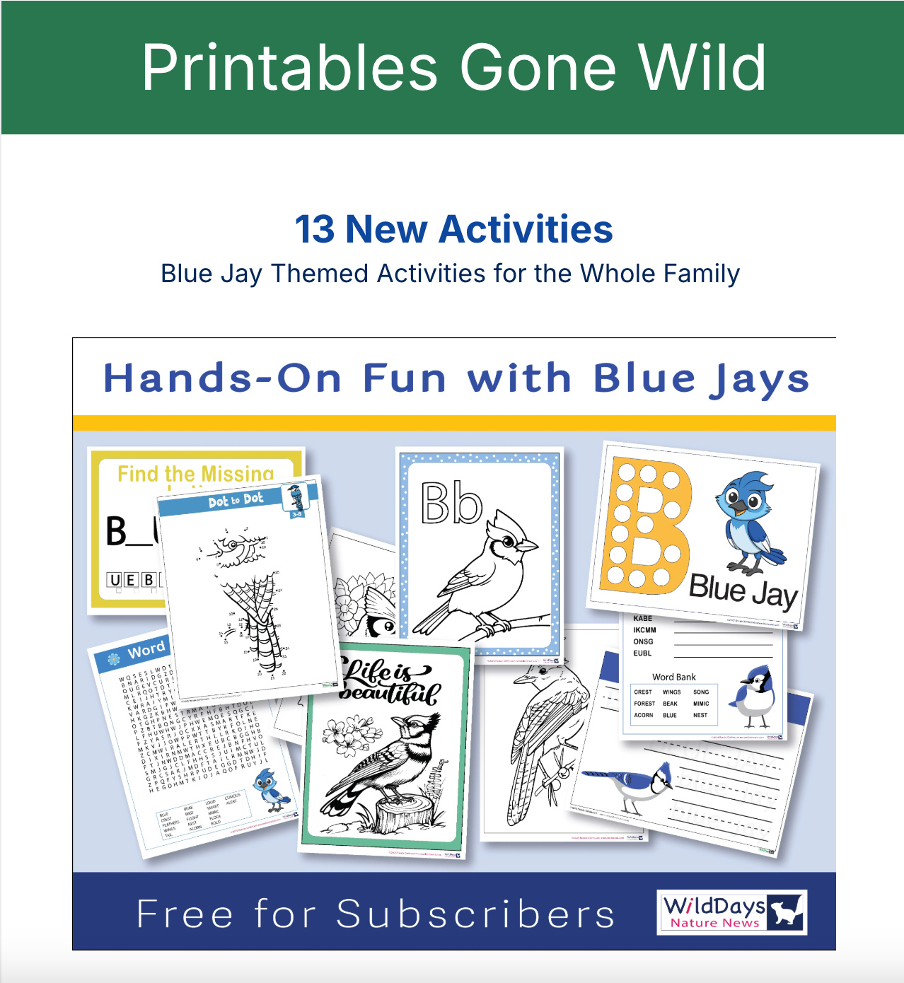 Promotional graphic: 