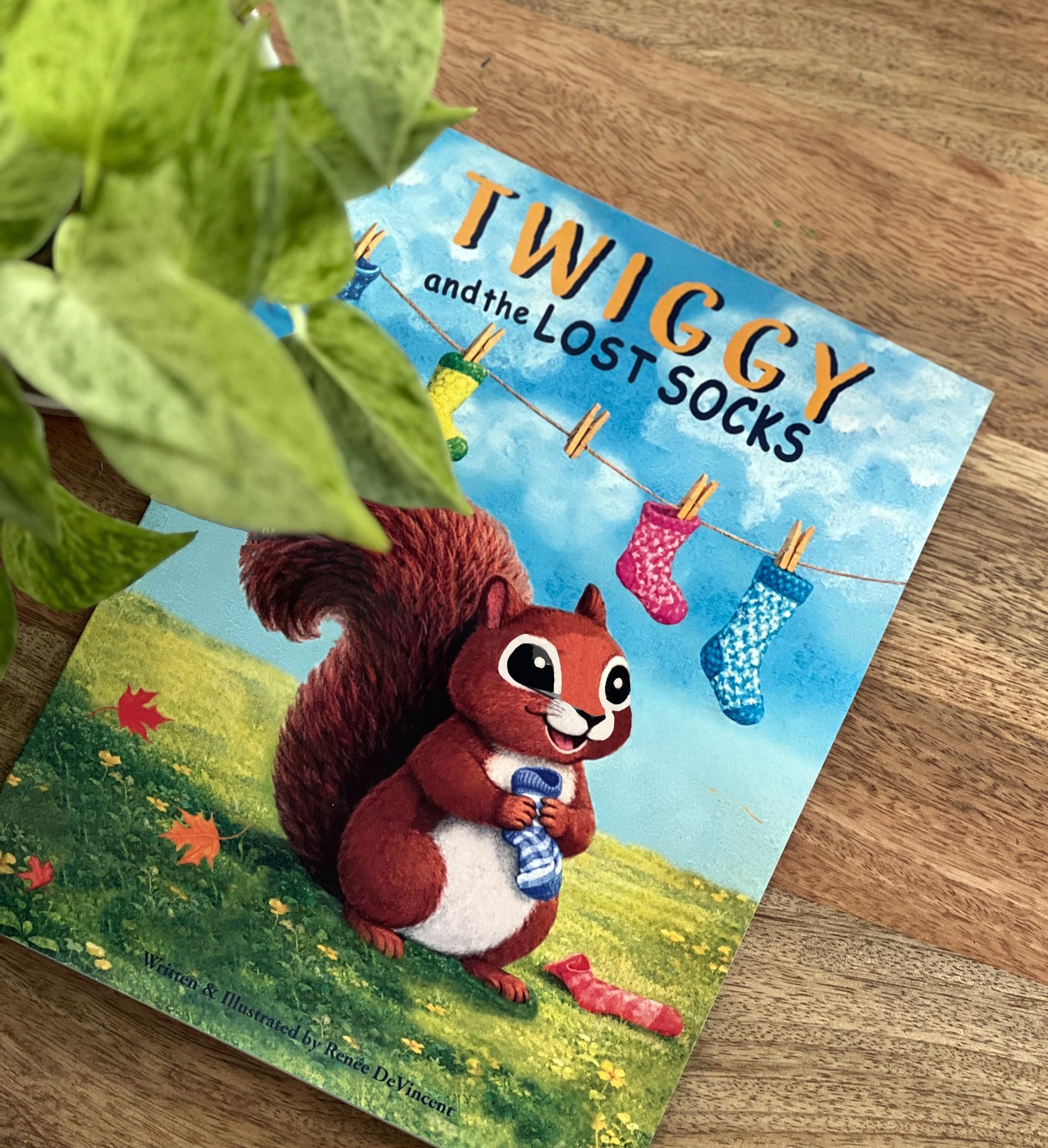 Book cover for
