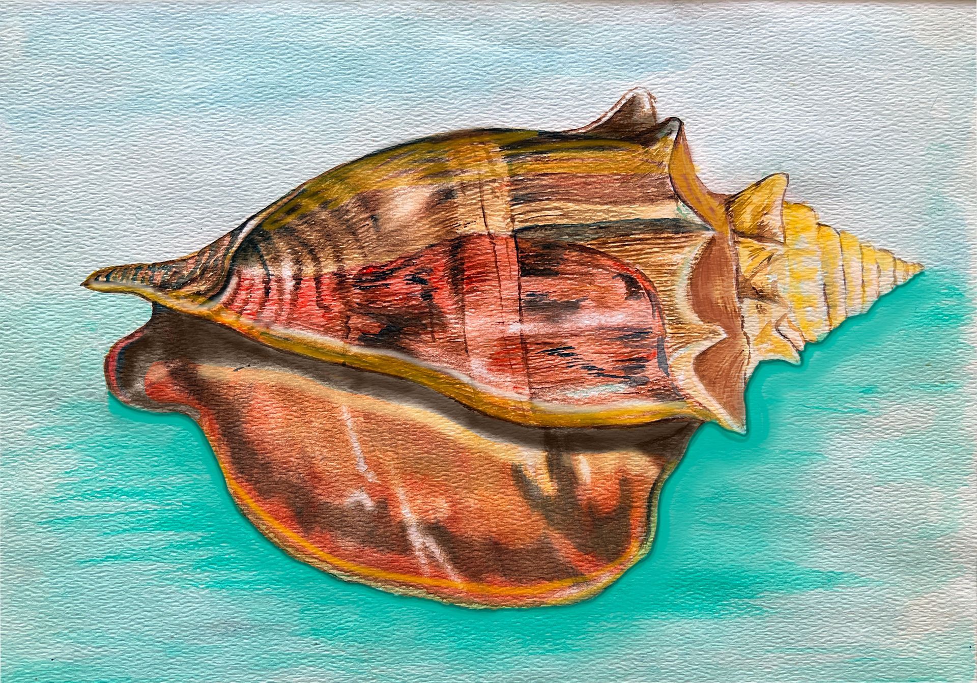 A watercolor painting of a sea shell on a blue surface.