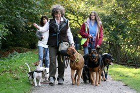 Dog obedience training - Exeter, East London - Animal Action Trust - Training