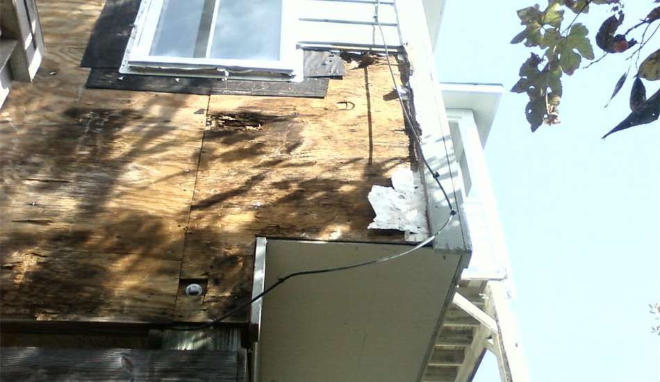 Rot Repair