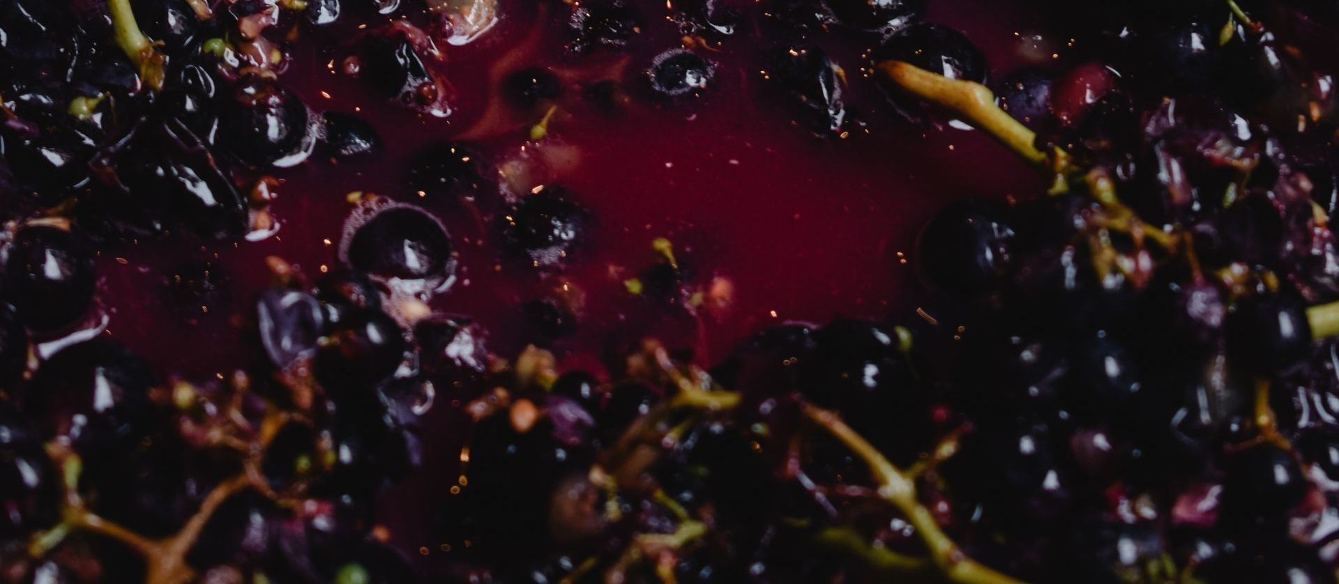 A close up of a purple liquid with grapes in it.