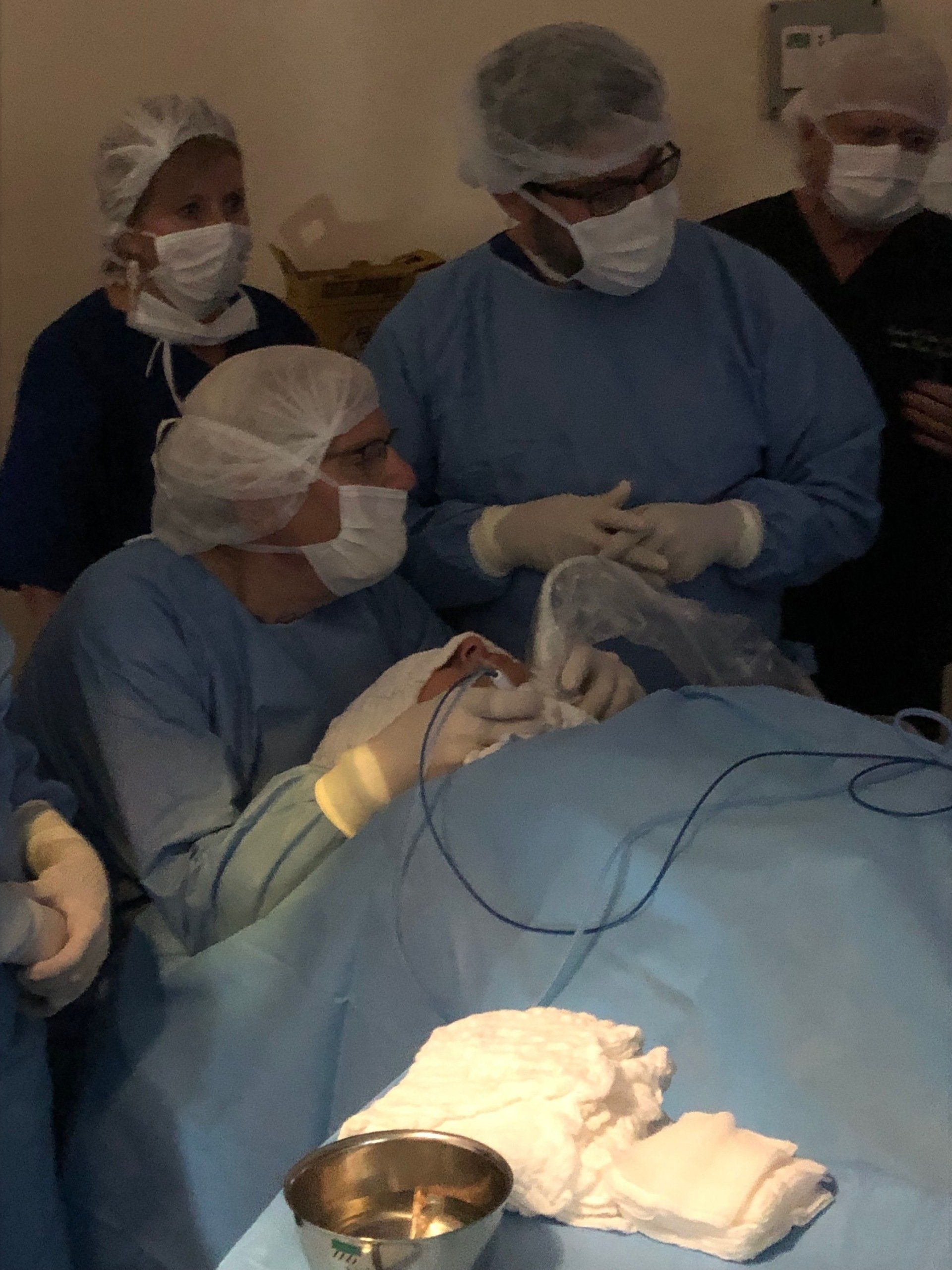 A group of surgeons are working on a patient in an operating room
