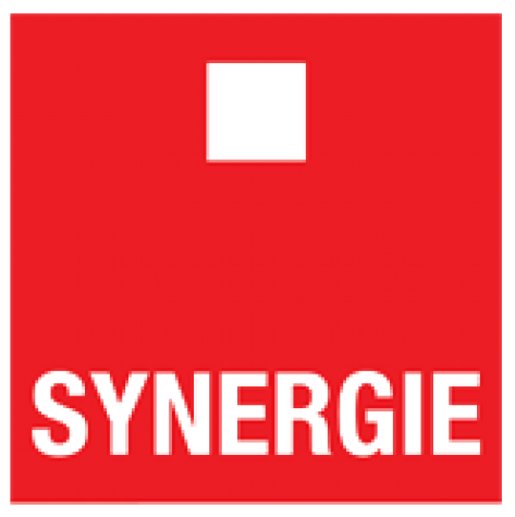 synergie interim