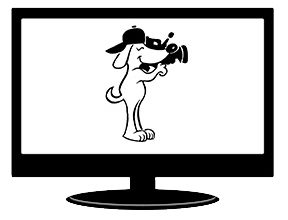 A cartoon dog is holding a camera on a computer screen.