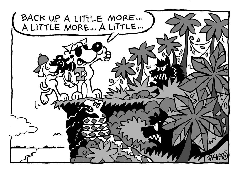 A cartoon of a dog standing on a cliff with a speech bubble that says back up a little more