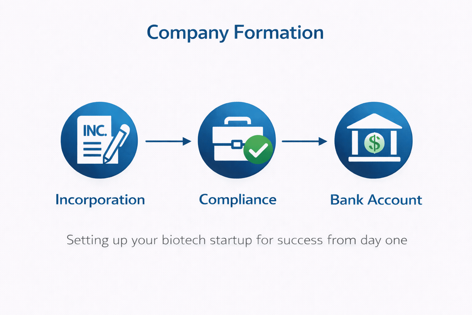 Company formation service image showing the steps to set up your Biotech startup for success (Incorporation, Compliance, Bank Account).