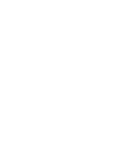 Tyre Icon