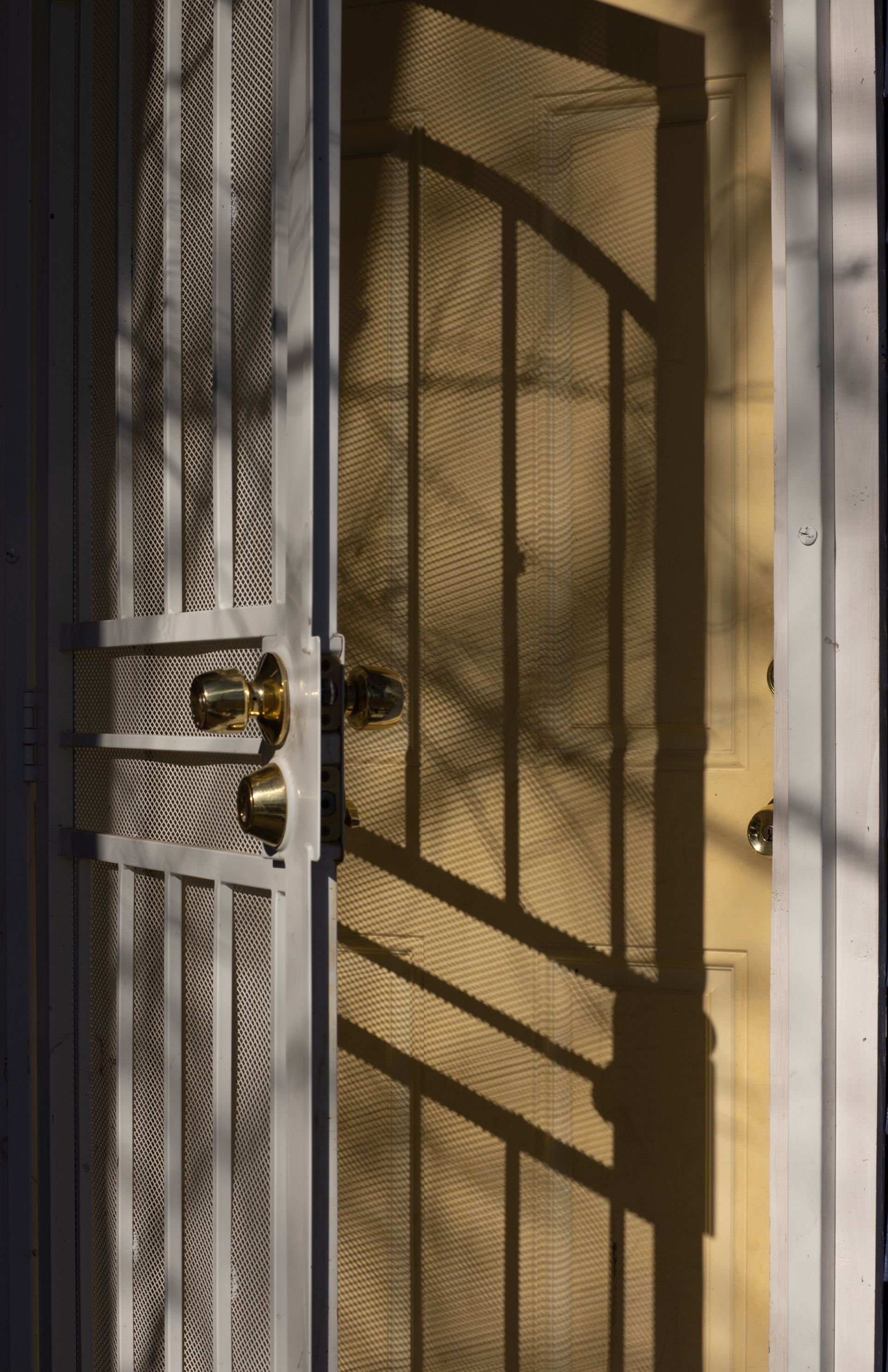 Sunlit front door with decorative metal security screen and two brass handles