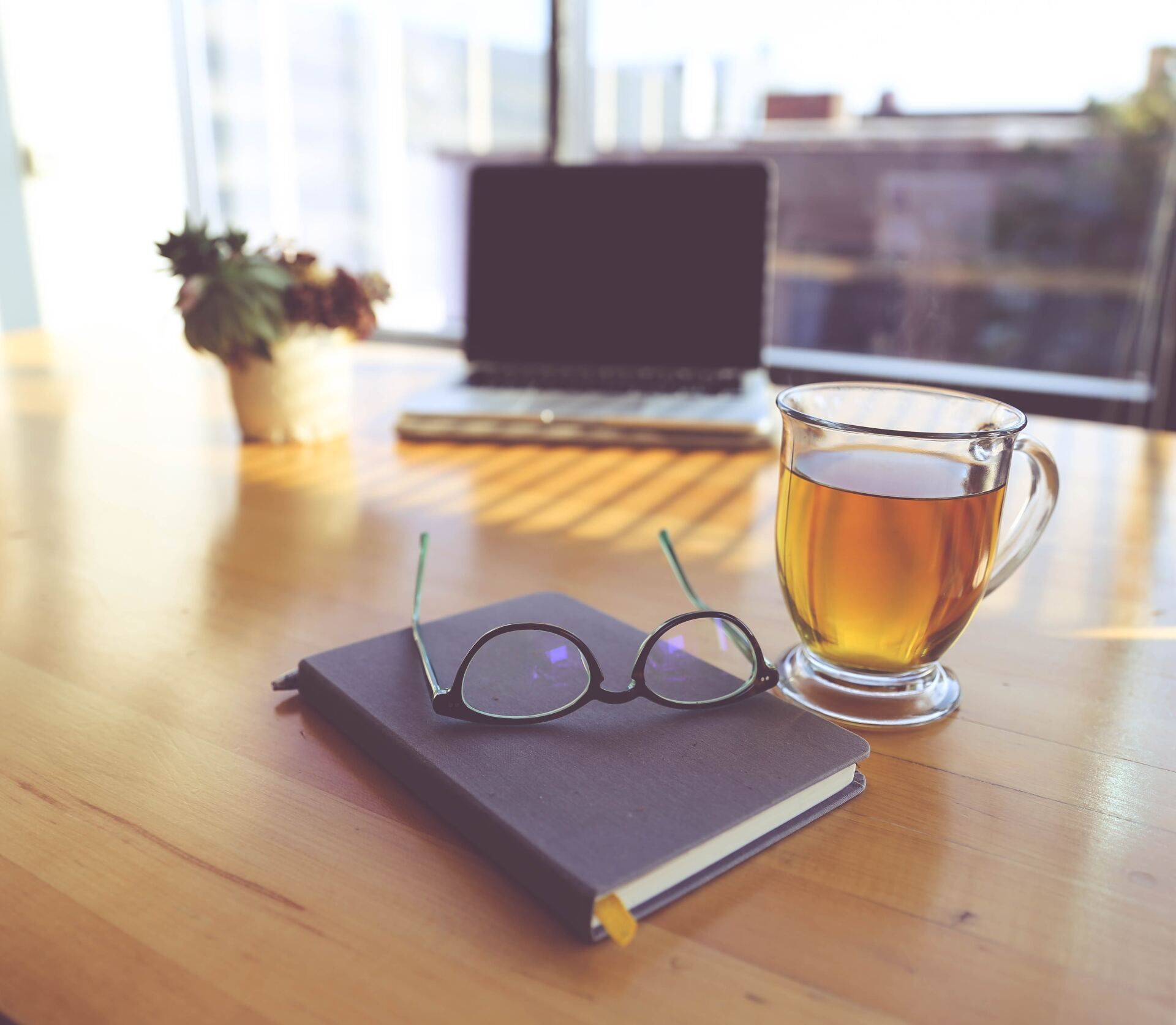 A laptop, a potted succulent, a glass mug of tea, and glasses resting on a gray notebook on a wooden table.