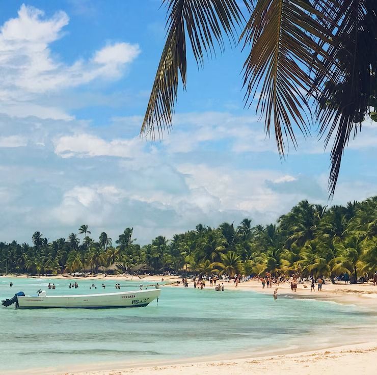 Una playa con un barco en el agua y una palmera en primer plano.