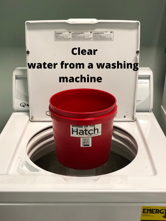 Red bucket under washing machine spout collecting clear water from the open washer lid