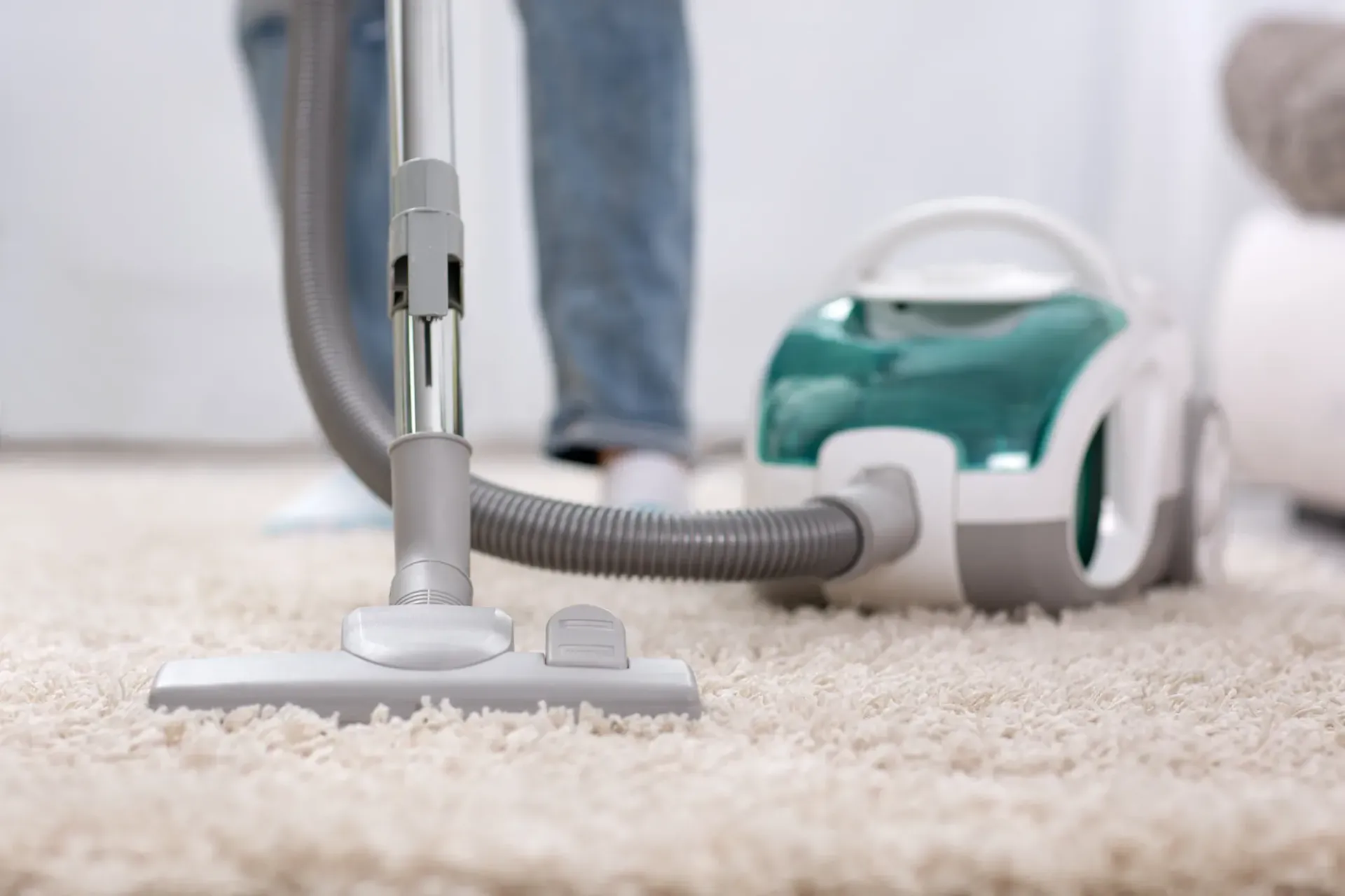 professional carpet cleaning services