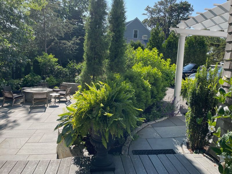 Stone patio with lush greenery, a table, and tall trees; sunny outdoor setting.