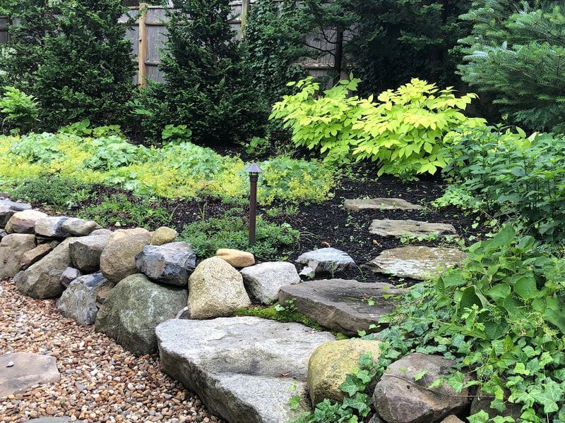 Stone retaining wall and stepping stones lead to a lush garden with green and yellow foliage.