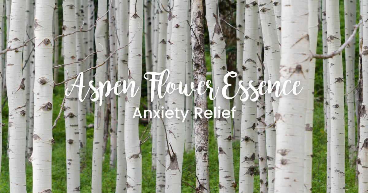 Aspen Flower Essence for Anxiety