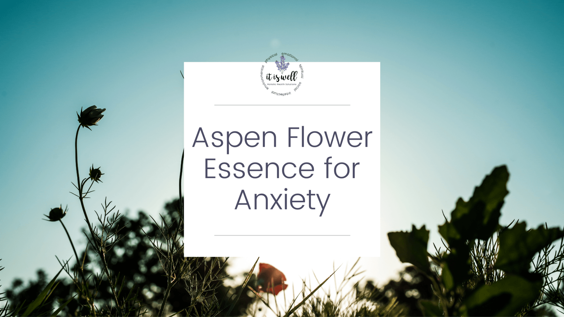 Calm anxiety with aspen flower therapy