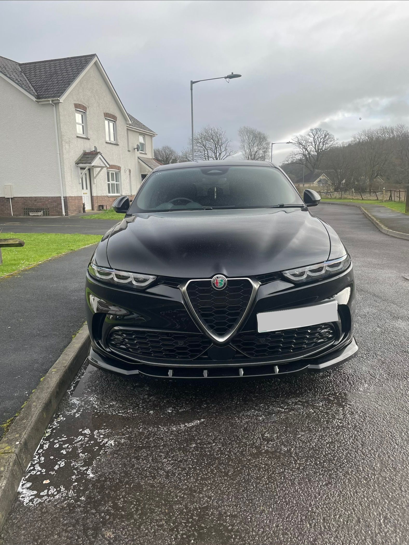A black Alfa Romeo parked on a wet road in front of a residential house on a cloudy day.