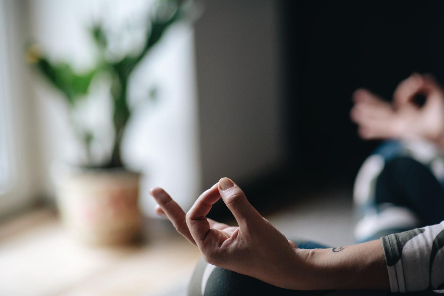 Person in a dimly lit room, meditating with hands in a mudra position near a window with a potted plant.