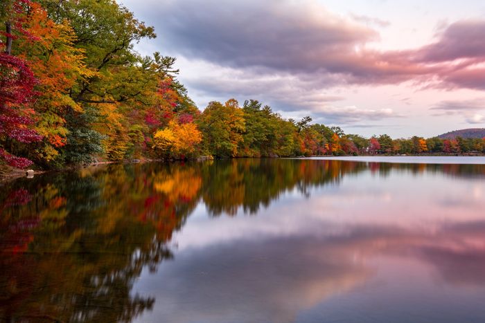 Fall Foliage Reflects On Lake — New Franklin, OH — First Security Title Corp.