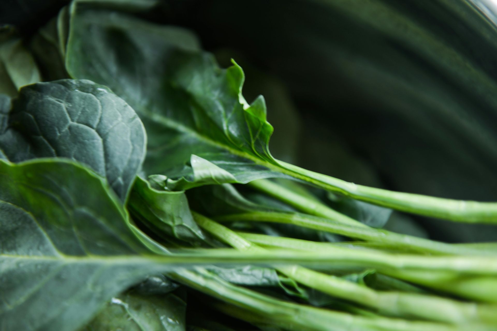 A close up of a bunch of green leaves in a bowl.