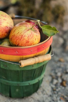 A basket filled with apples and a leaf on a rock.