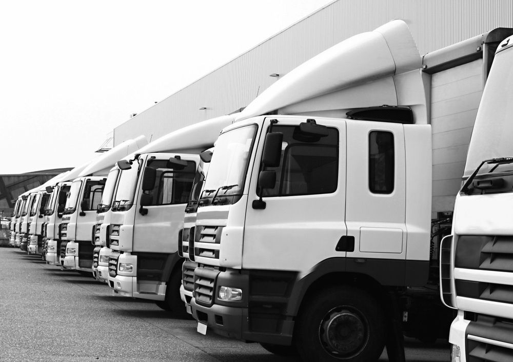A Row Of White Trucks Are Parked In Front Of A Building — South Burnett Truck Rental In Maryborough, QLD