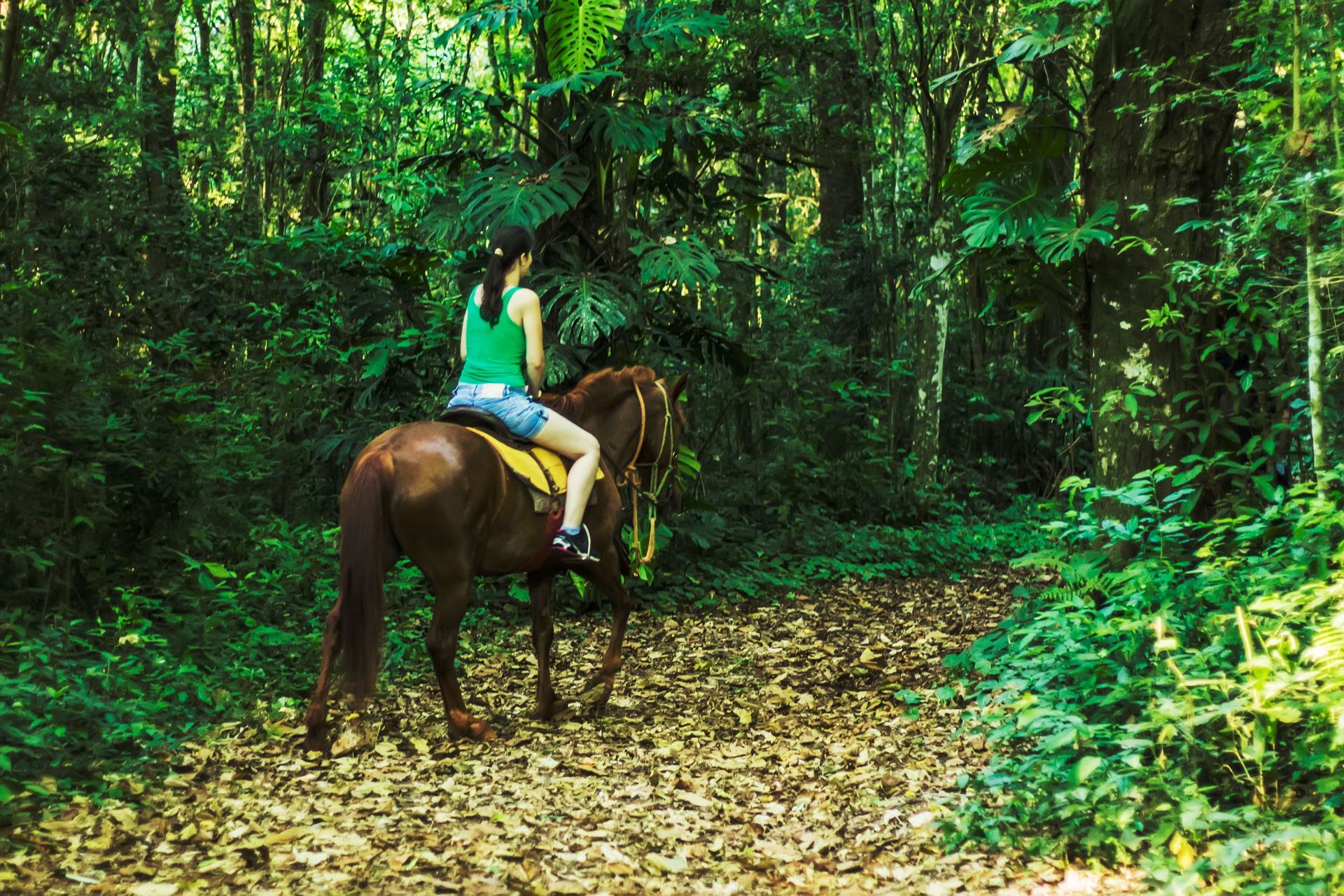 Canzi Cataratas Hotel