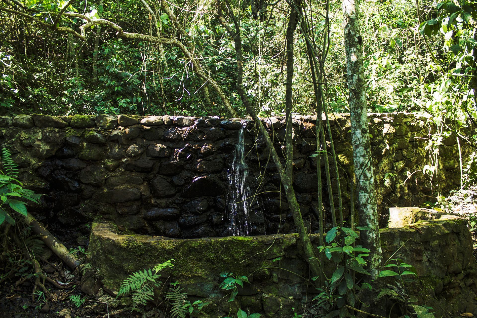 Canzi Cataratas Hotel