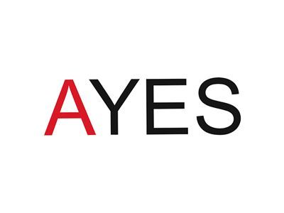 Ayes Consulting logo