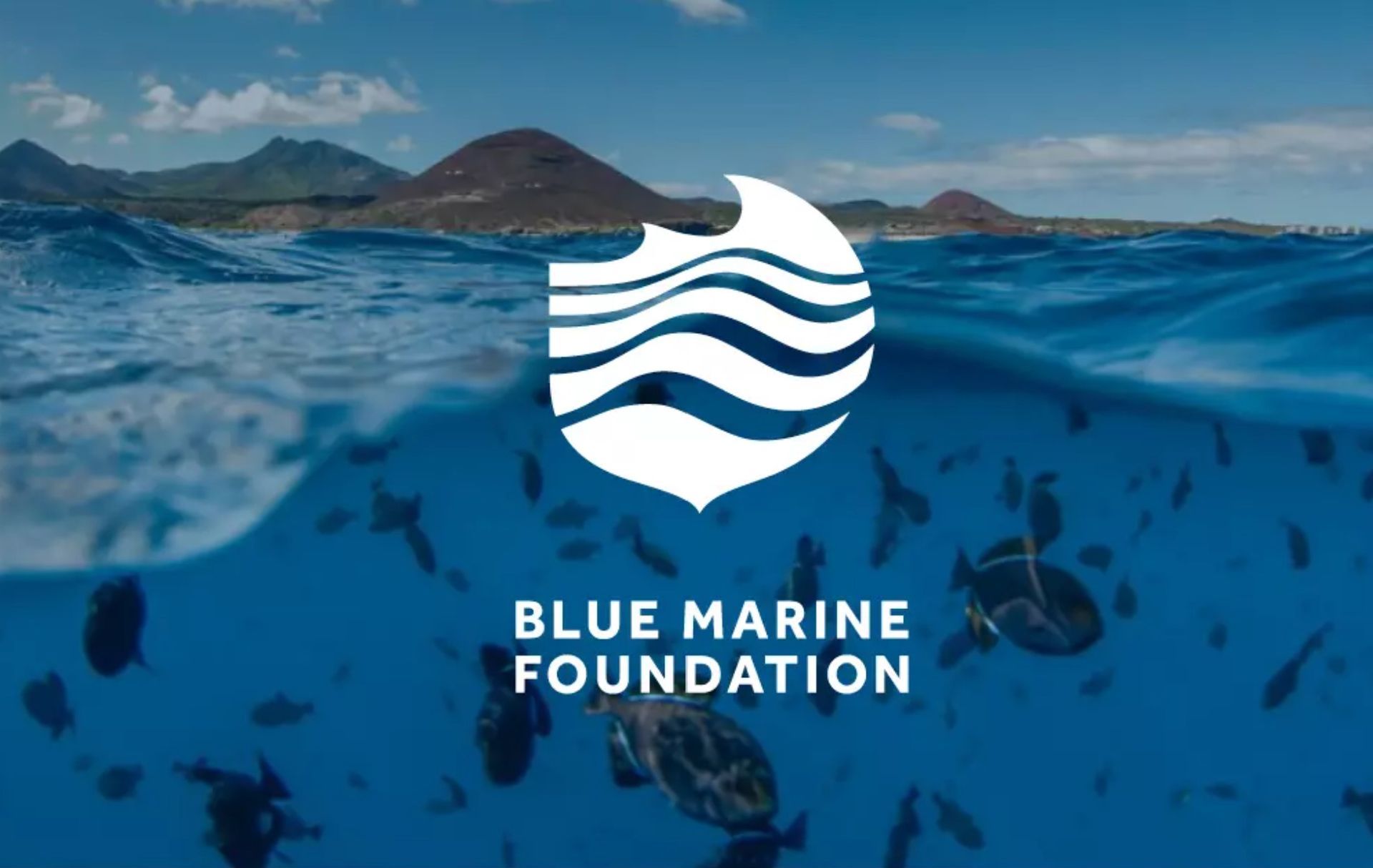Blue Marin Foundation Logo on an ocean background