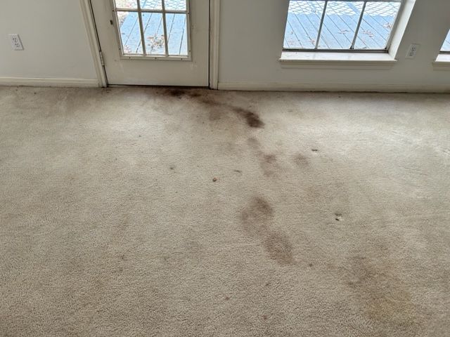 Dirty Carpet Floor