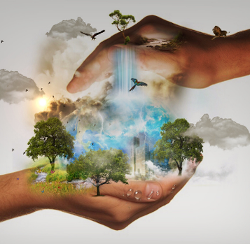 Hands cupping a miniature world: trees, waterfall, birds, and sky, representing care for the environment.