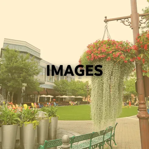 A public square with flowers, a green lawn, buildings, and a bench.