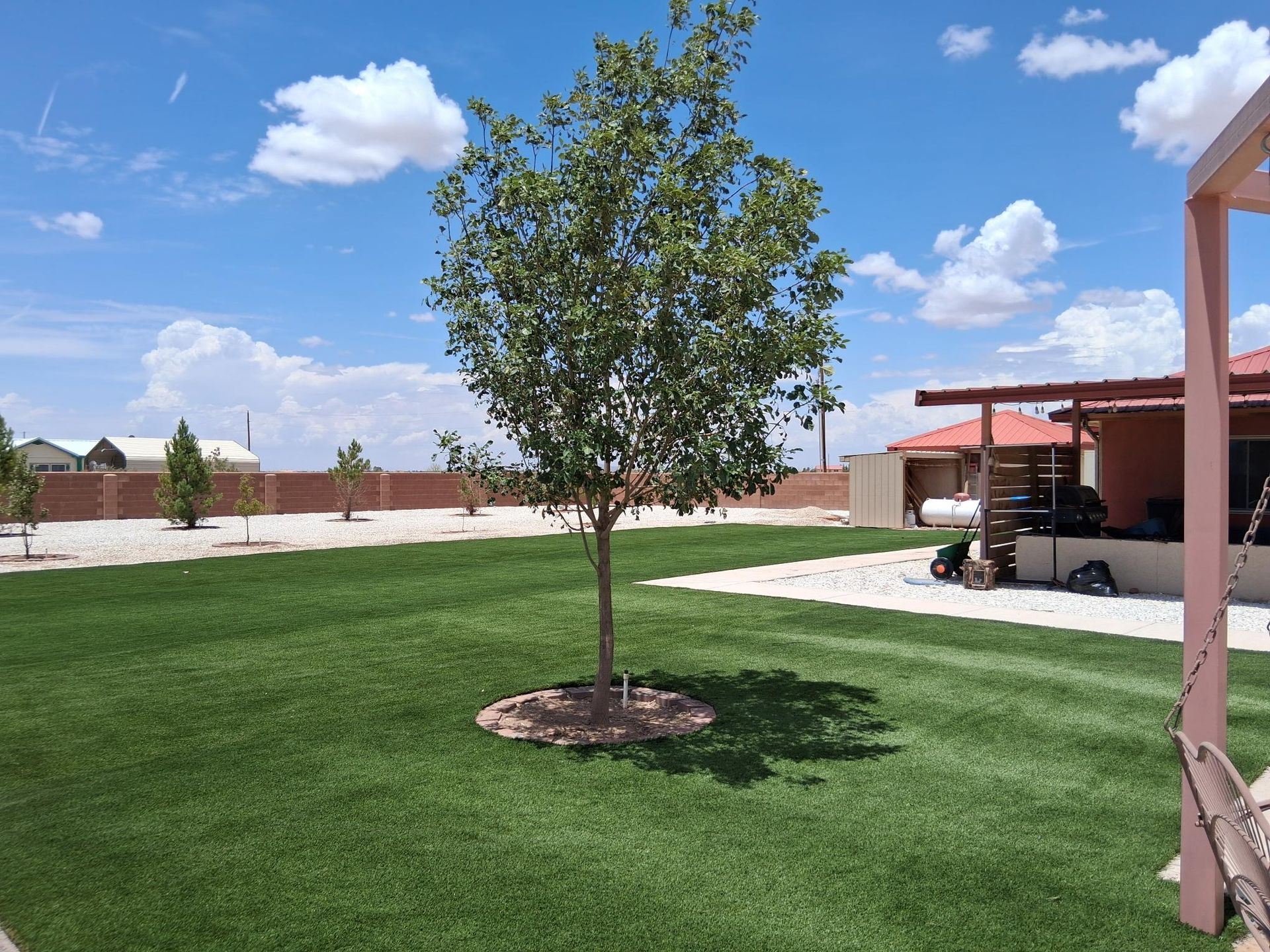 A tree is in the middle of a lush green lawn in front of a house.