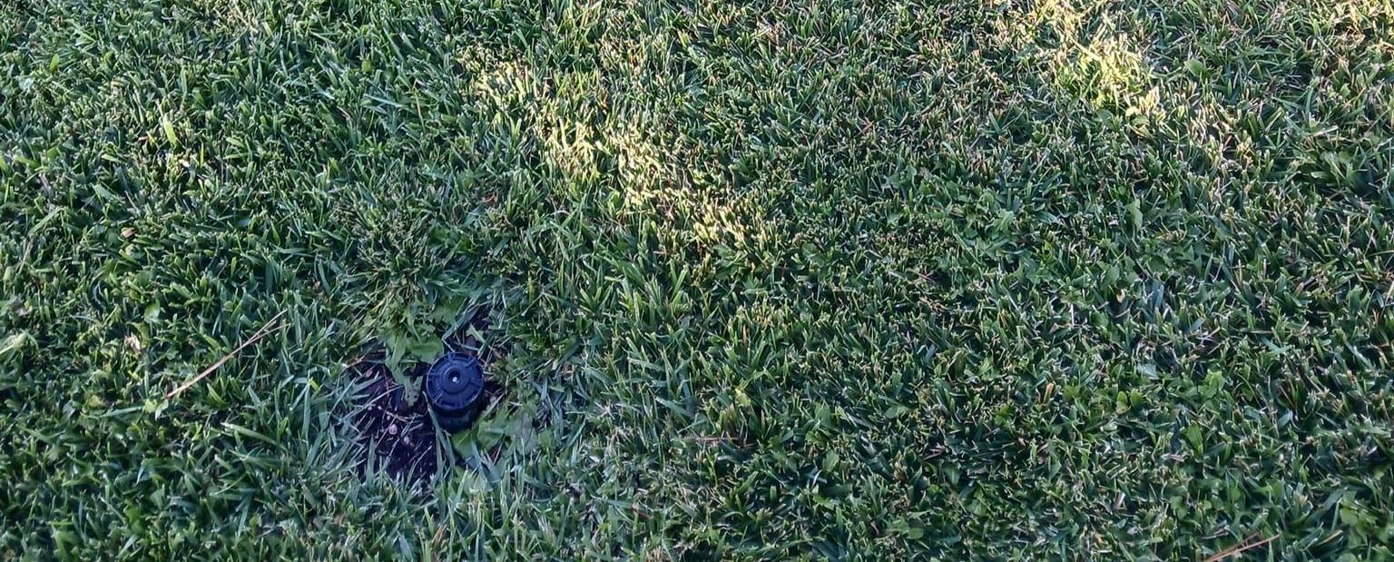 A person is standing on a lush green field of grass.