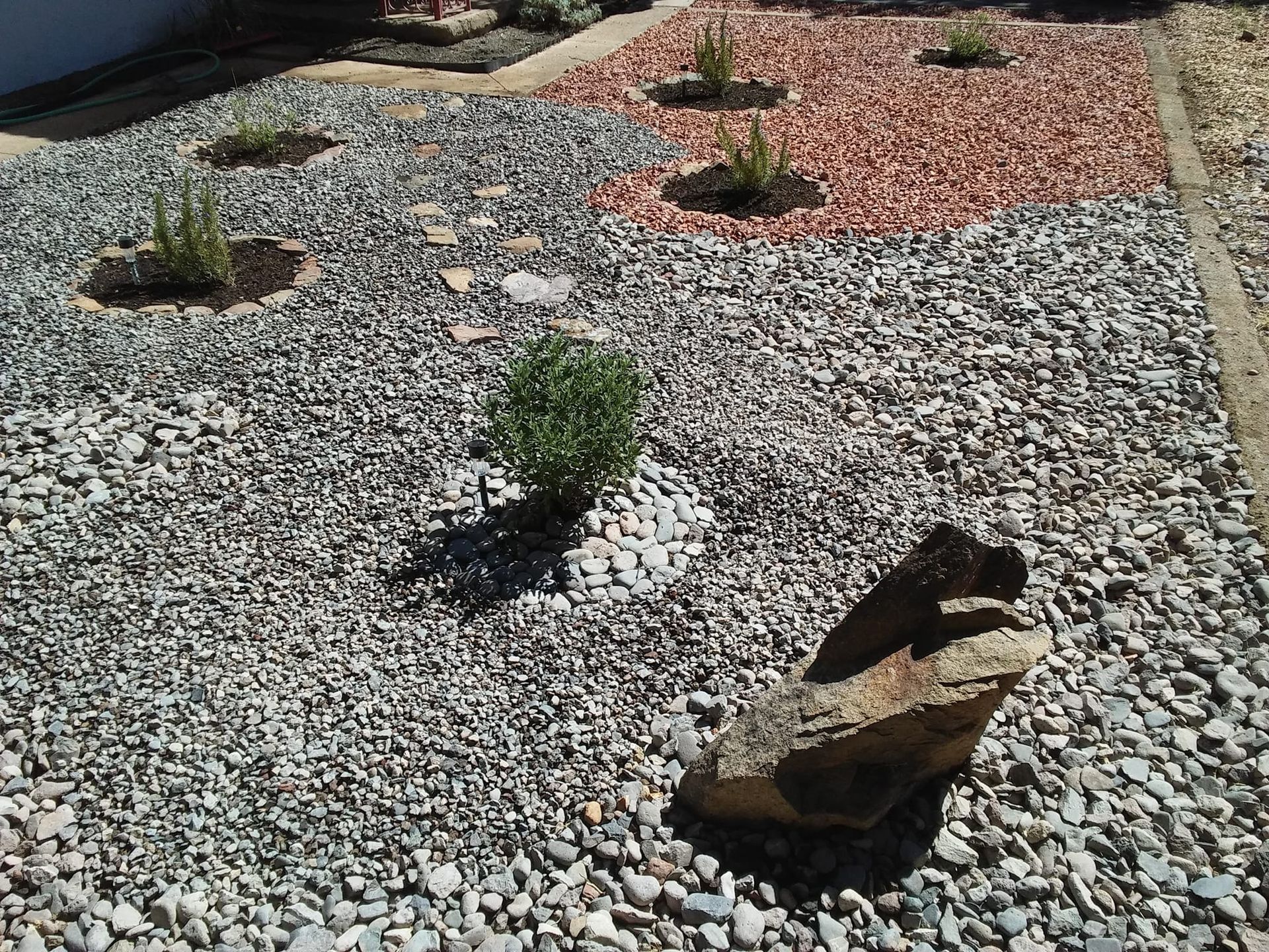 A rock in the middle of a gravel garden with plants growing out of it.