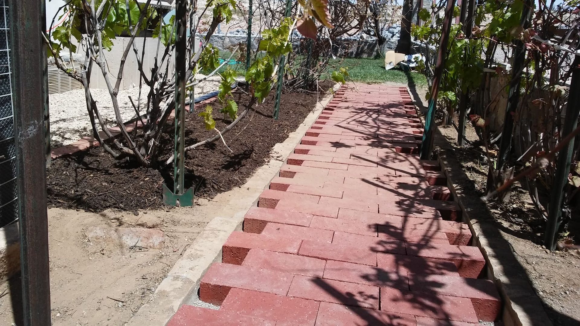 A brick walkway is being built in a garden
