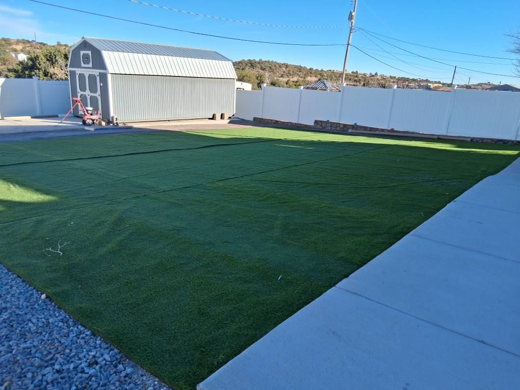 A large lawn with a shed in the background