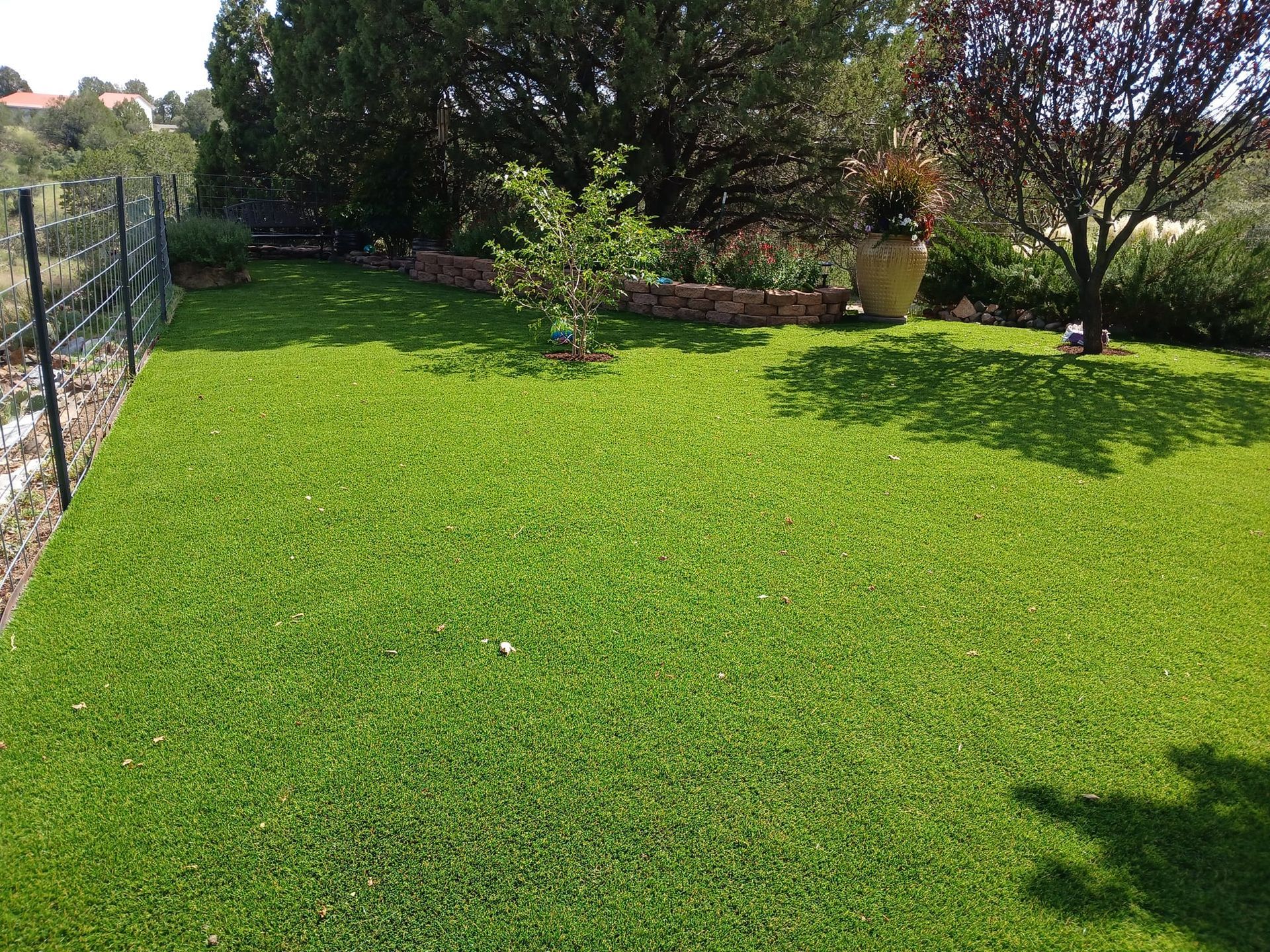 A lush green lawn with a fence and trees in the background.