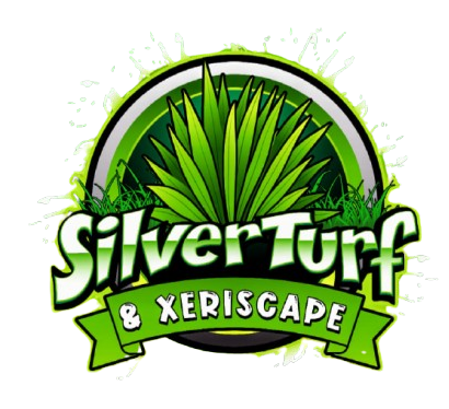 A logo for silver turf and xeriscape with a green ribbon