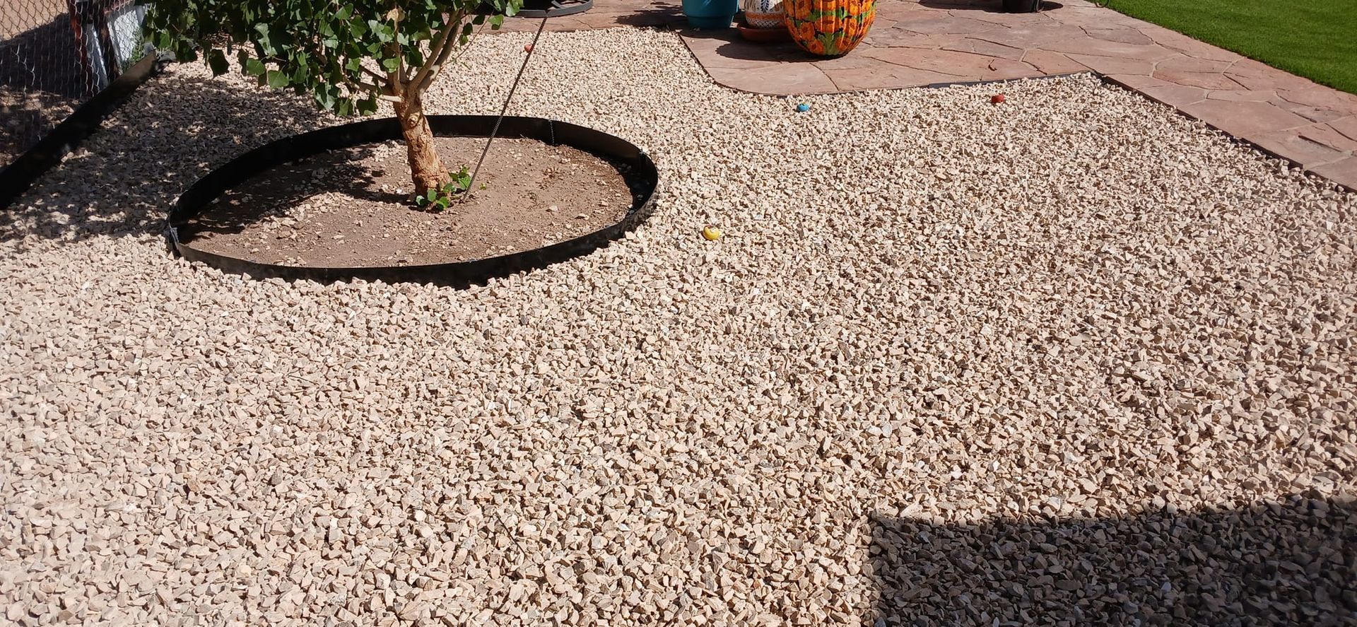 There is a tree in the middle of the gravel.